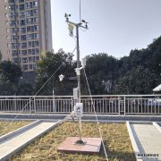 自动黄瓜视频网站入口促进蓝莓和火龙果生长