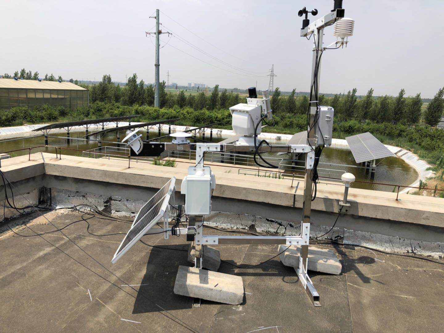 福建光伏黄瓜视频网站入口